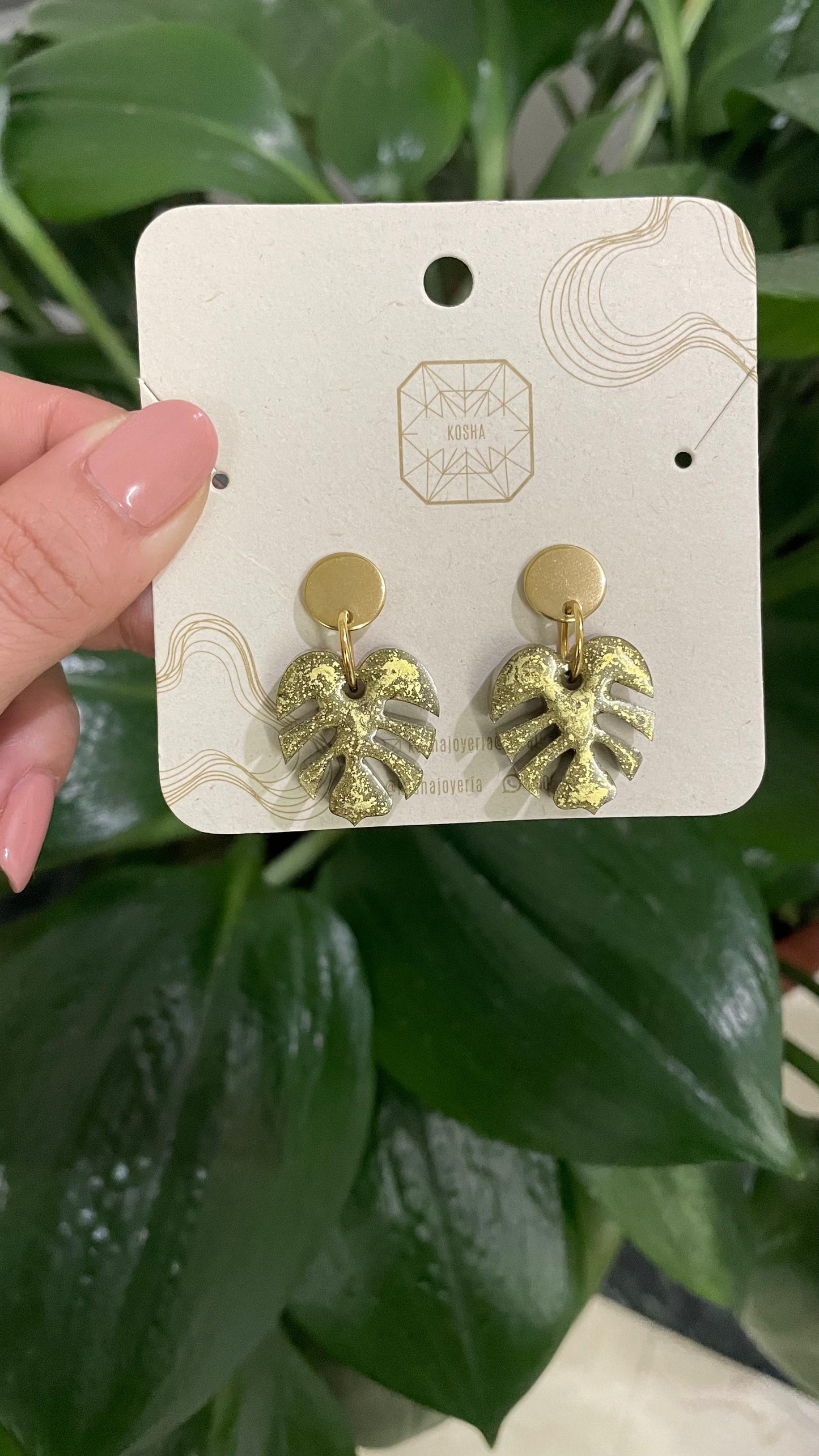 MONSTERA PEQUEÑA