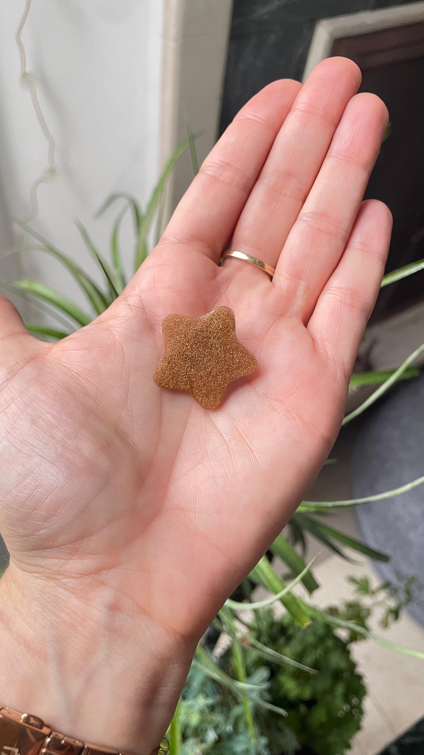 PINZA ESTRELLA ⭐