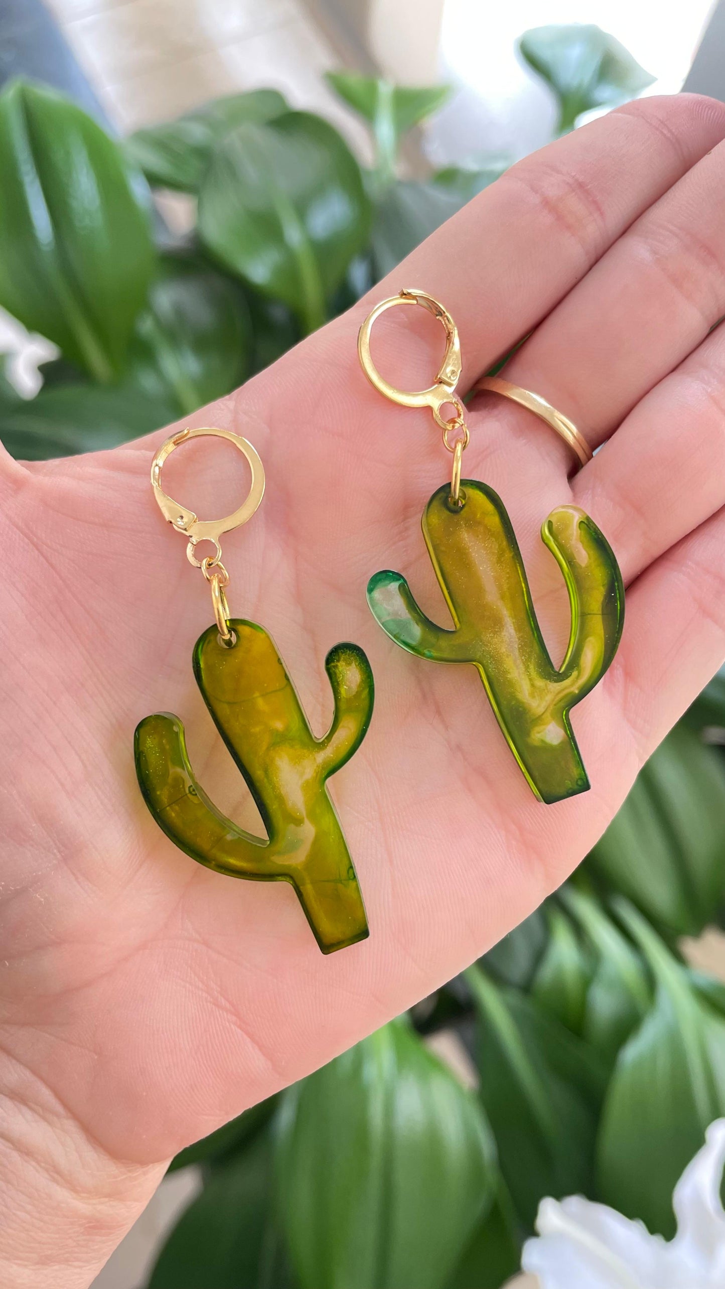 CACTUS 🌵